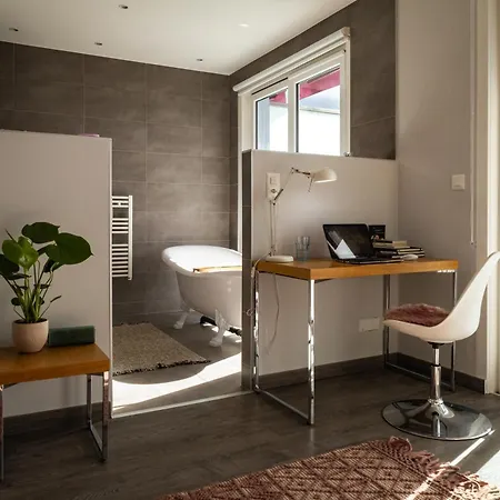 Vermont Hub In Swiss Mountains * Leysin